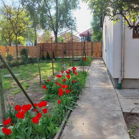 Ujszeged Apartman Екстер'єр фото
