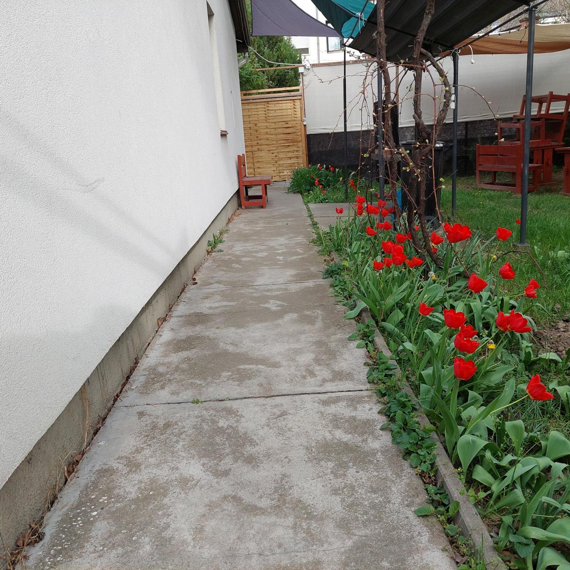 Ujszeged Apartman Екстер'єр фото